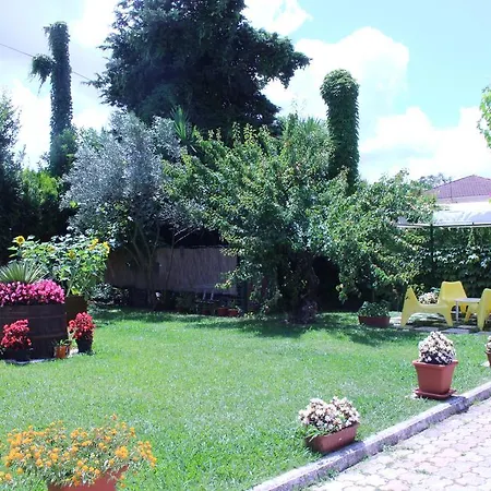 Il Girasole