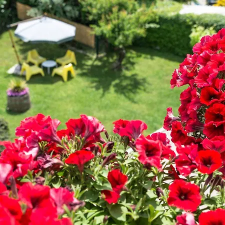 Bed and Breakfast Il Girasole Agropoli